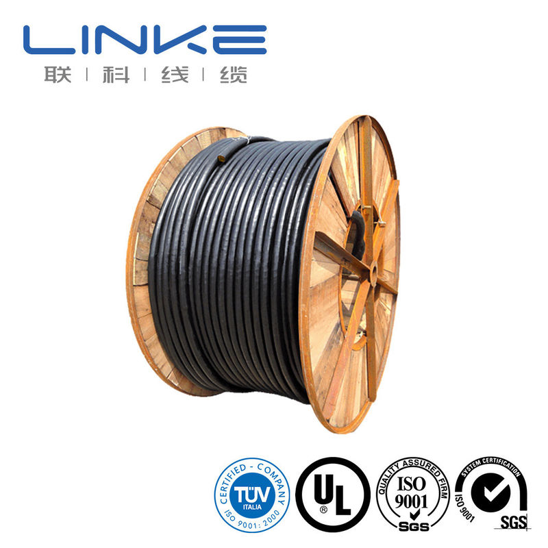 Cables para vehículos eléctricos de tipo 2 Eve Evje con enchufe IEC 62196-2